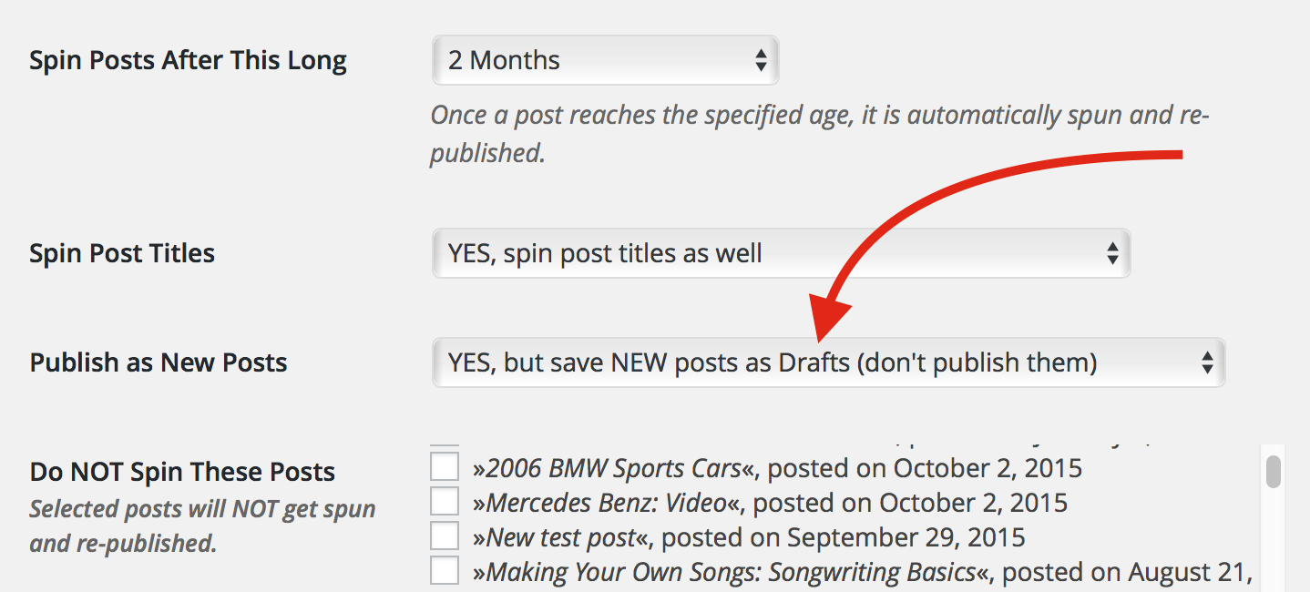 There's a new setting available for the Spin Rewriter WordPress plugin!
